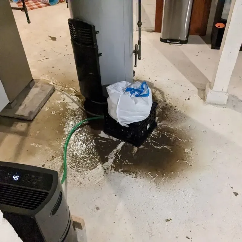 Sewage Backup Cleanup Service in Clarke County, AL